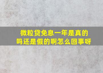 微粒贷免息一年是真的吗还是假的啊怎么回事呀