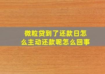 微粒贷到了还款日怎么主动还款呢怎么回事