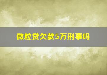 微粒贷欠款5万刑事吗