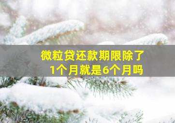 微粒贷还款期限除了1个月就是6个月吗