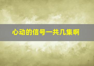 心动的信号一共几集啊