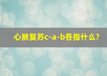 心肺复苏c-a-b各指什么?