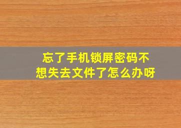 忘了手机锁屏密码不想失去文件了怎么办呀