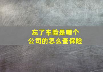 忘了车险是哪个公司的怎么查保险