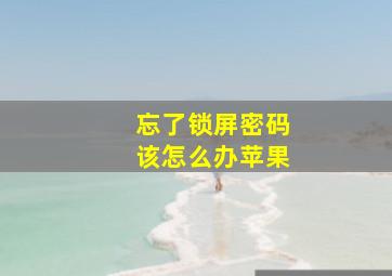 忘了锁屏密码该怎么办苹果