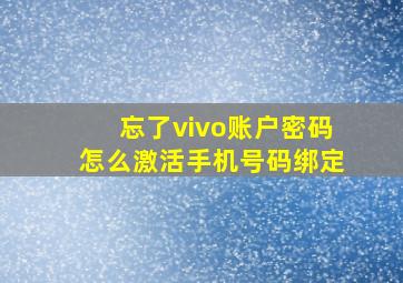 忘了vivo账户密码怎么激活手机号码绑定