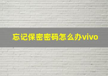 忘记保密密码怎么办vivo