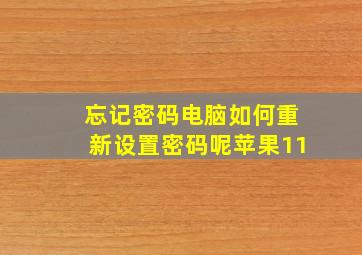 忘记密码电脑如何重新设置密码呢苹果11