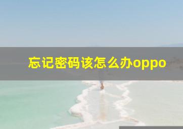 忘记密码该怎么办oppo