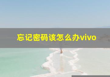 忘记密码该怎么办vivo