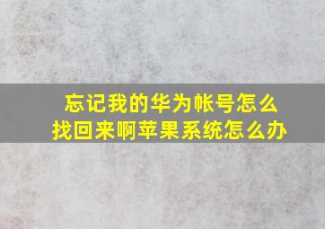 忘记我的华为帐号怎么找回来啊苹果系统怎么办