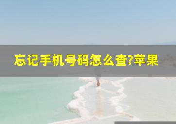 忘记手机号码怎么查?苹果