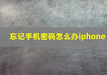 忘记手机密码怎么办iphone