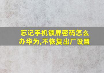 忘记手机锁屏密码怎么办华为,不恢复出厂设置