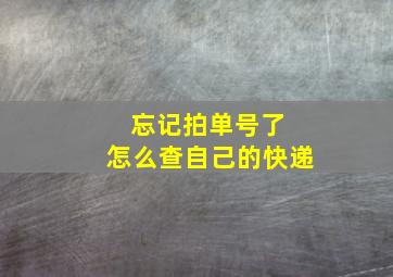 忘记拍单号了 怎么查自己的快递