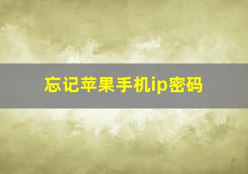 忘记苹果手机ip密码