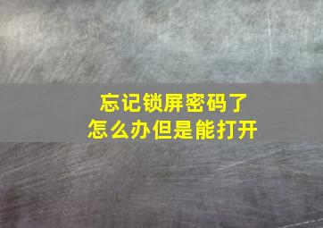 忘记锁屏密码了怎么办但是能打开