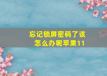 忘记锁屏密码了该怎么办呢苹果11