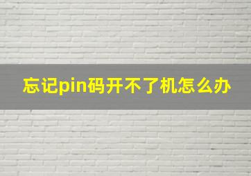 忘记pin码开不了机怎么办