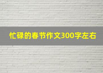 忙碌的春节作文300字左右