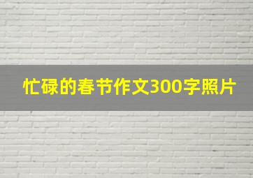 忙碌的春节作文300字照片