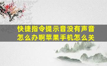 快捷指令提示音没有声音怎么办啊苹果手机怎么关