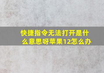 快捷指令无法打开是什么意思呀苹果12怎么办