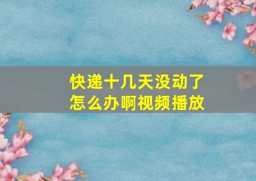 快递十几天没动了怎么办啊视频播放