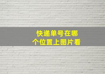 快递单号在哪个位置上图片看