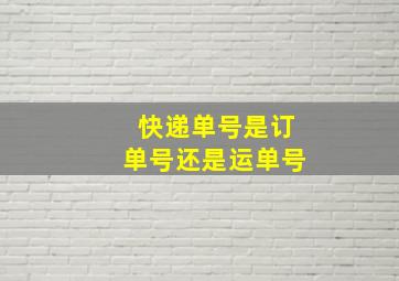 快递单号是订单号还是运单号