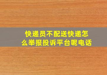 快递员不配送快递怎么举报投诉平台呢电话