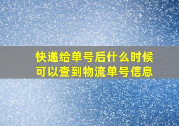 快递给单号后什么时候可以查到物流单号信息