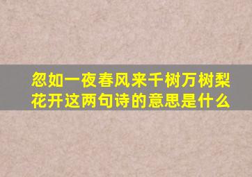 忽如一夜春风来千树万树梨花开这两句诗的意思是什么