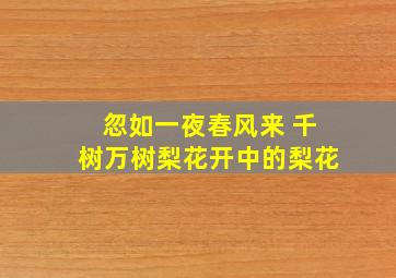 忽如一夜春风来 千树万树梨花开中的梨花