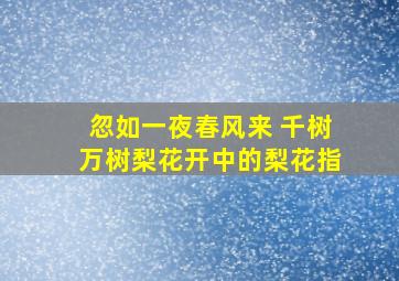 忽如一夜春风来 千树万树梨花开中的梨花指