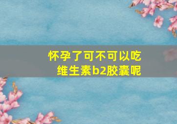 怀孕了可不可以吃维生素b2胶囊呢