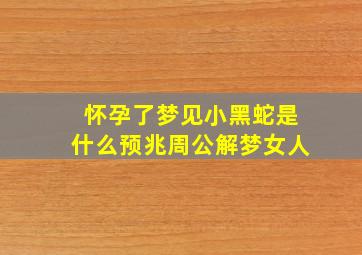 怀孕了梦见小黑蛇是什么预兆周公解梦女人