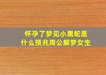 怀孕了梦见小黑蛇是什么预兆周公解梦女生