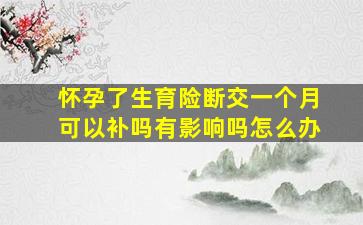 怀孕了生育险断交一个月可以补吗有影响吗怎么办