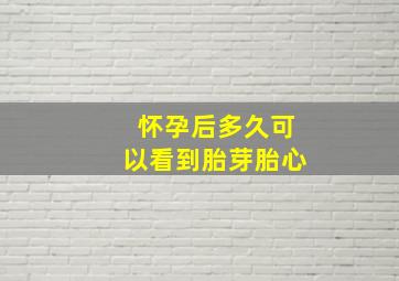 怀孕后多久可以看到胎芽胎心