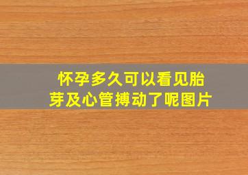 怀孕多久可以看见胎芽及心管搏动了呢图片