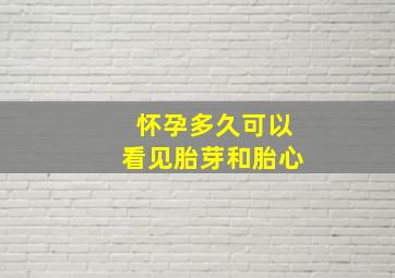 怀孕多久可以看见胎芽和胎心