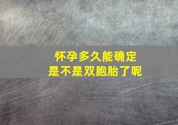 怀孕多久能确定是不是双胞胎了呢