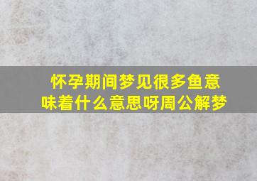 怀孕期间梦见很多鱼意味着什么意思呀周公解梦