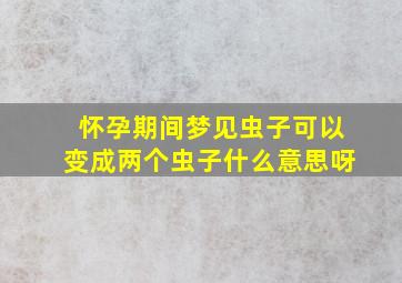 怀孕期间梦见虫子可以变成两个虫子什么意思呀