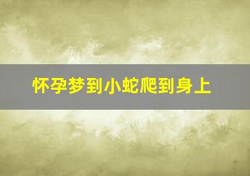 怀孕梦到小蛇爬到身上