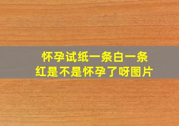 怀孕试纸一条白一条红是不是怀孕了呀图片