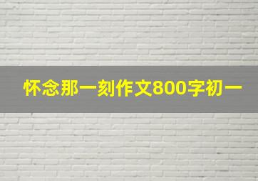 怀念那一刻作文800字初一