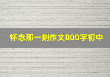 怀念那一刻作文800字初中