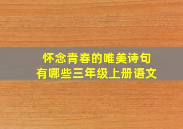 怀念青春的唯美诗句有哪些三年级上册语文